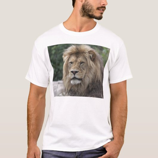 Lion T-shirt (Voorkant)