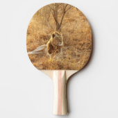 Lion Tafeltennisbatje (Achterkant)