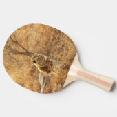 Lion Tafeltennisbatje (Zijkant)