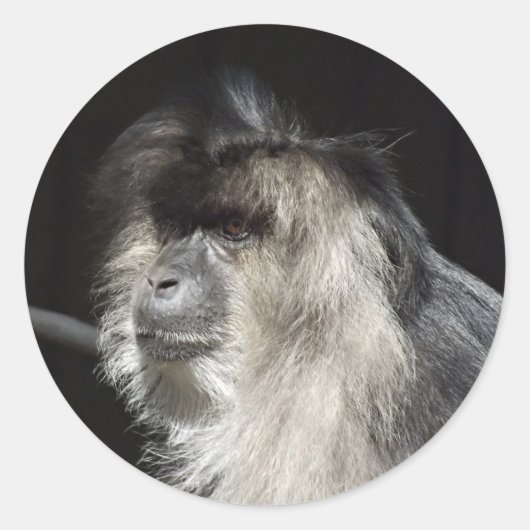 Lion-Tailed Macaque Portret Ronde Sticker (Voorkant)