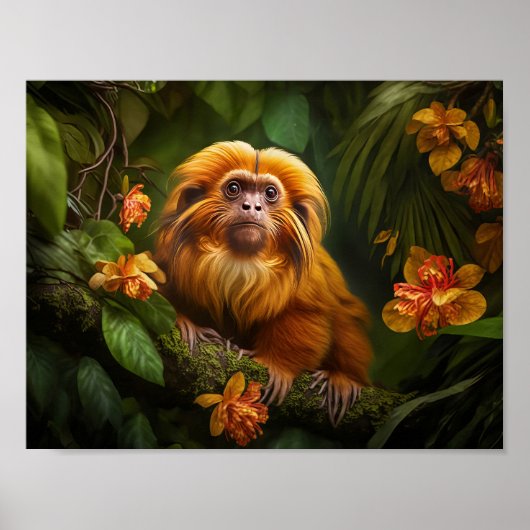 Lion Tamarin Poster (Voorkant)