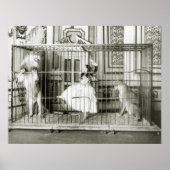Lion Tamer: 1897 Poster (Voorkant)
