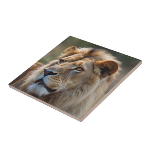 Lion Tegeltje (Zijkant)