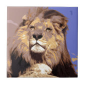 Lion Tegeltje (Voorkant)