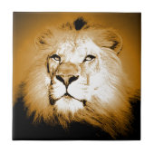 Lion Tegeltje (Voorkant)