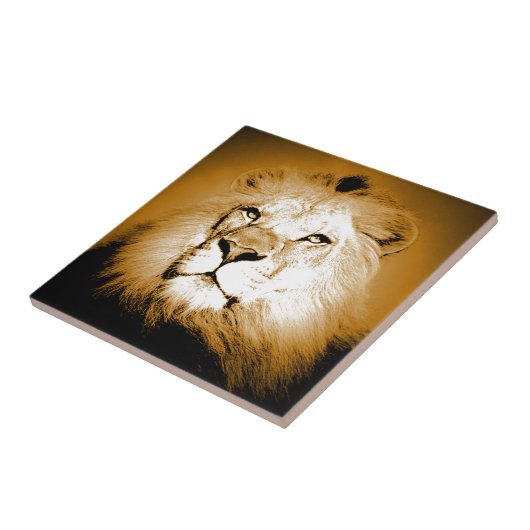 Lion Tegeltje (Zijkant)