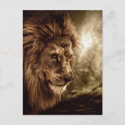 Lion tegen stormachtige hemel briefkaart (Voorkant)
