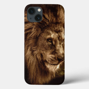 Lion tegen stormachtige hemel Case-Mate iPhone case