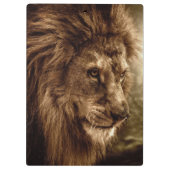 Lion tegen stormachtige hemel klembord (Achterkant)