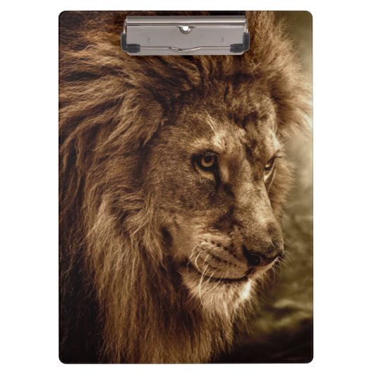 Lion tegen stormachtige hemel klembord (Voorkant)