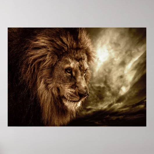 Lion tegen stormachtige hemel poster (Voorkant)