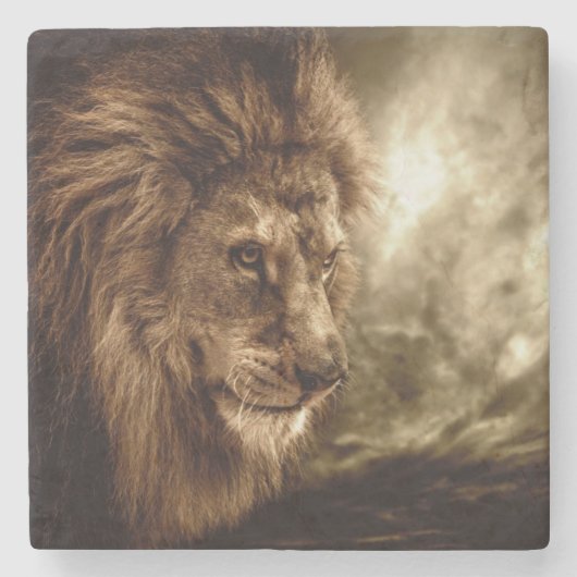 Lion tegen stormachtige hemel stenen onderzetter (Voorkant)