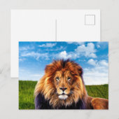 Lion The King of Forest Briefkaart (Voorkant / Achterkant)