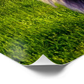 Lion The King of Forest Perfect Poster (Hoek)