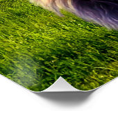 Lion The King of Forest Perfect Poster (Hoek)