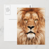 Lion The King Photo Painting Briefkaart (Voorkant / Achterkant)
