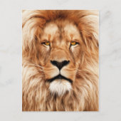 Lion The King Photo Painting Briefkaart (Voorkant)