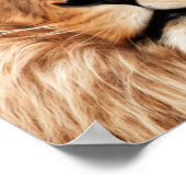 Lion The King Photo Painting Poster (Hoek)