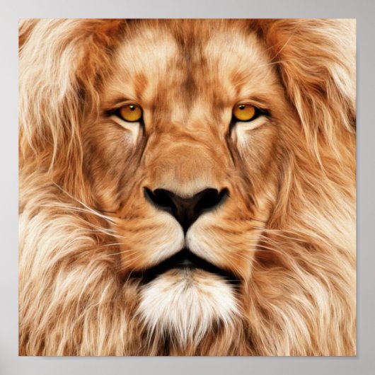 Lion The King Photo Painting Poster (Voorkant)