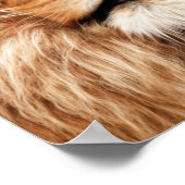 Lion The King Photo Painting Poster (Hoek)