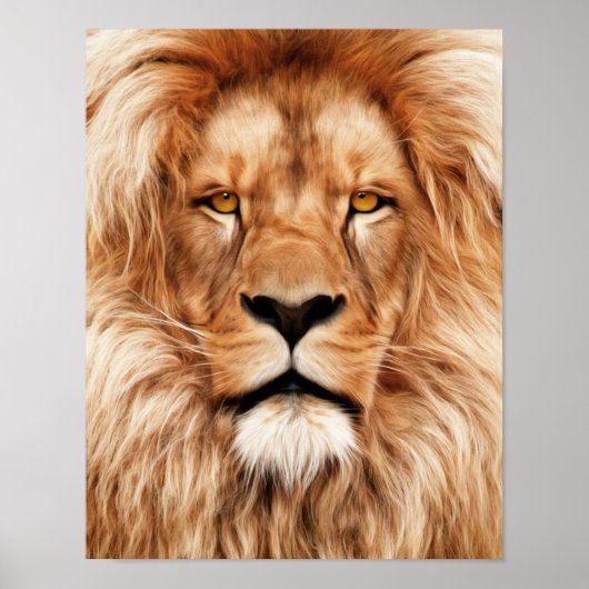Lion The King Photo Painting Poster (Voorkant)