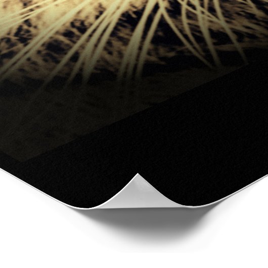 Lion Tiger 2in1 Poster (Hoek)