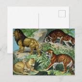 Lion Tiger Leopard  Briefkaart (Voorkant / Achterkant)