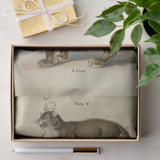 Lion Tiger Puma Ephemera Decoupage Tissuepapier (Geschenk)