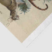 Lion Tiger Puma Ephemera Decoupage Tissuepapier (Detail)