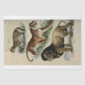 Lion Tiger Puma Ephemera Decoupage Tissuepapier (Voorkant)