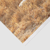 Lion Tissuepapier (Detail)