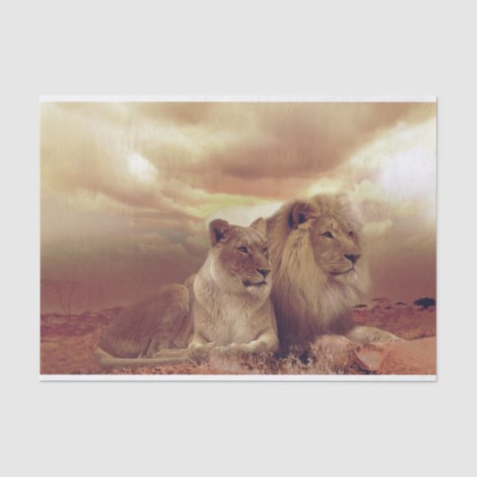 Lion Tissuepapier (Voorkant)