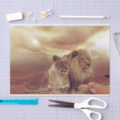 Lion Tissuepapier (Craft)
