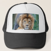 Lion Trucker Pet (Voorkant)