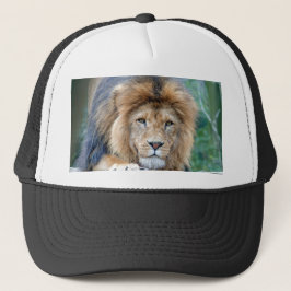Lion Trucker Pet