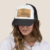 Lion Trucker Pet (In situ)
