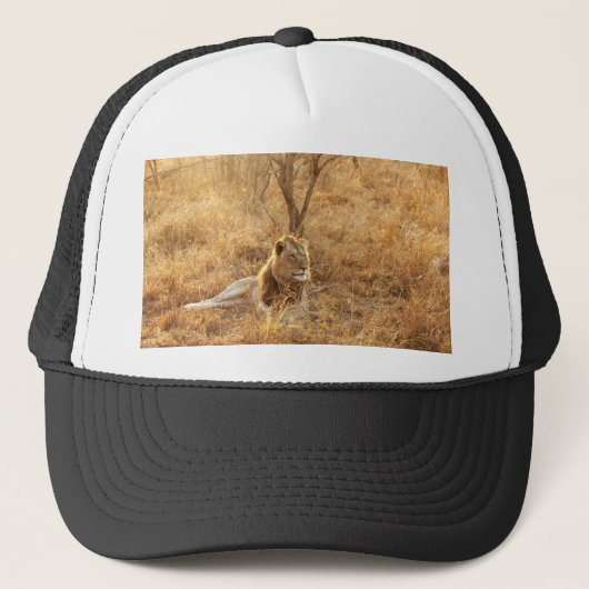Lion Trucker Pet (Voorkant)