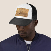 Lion Trucker Pet (In situ)