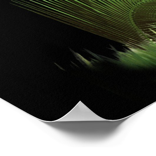 Lion van judah Poster (Hoek)