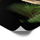 Lion van judah Poster (Hoek)