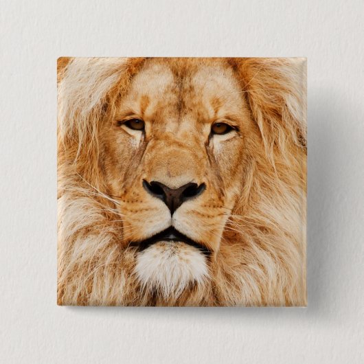 Lion Vierkante Button 5,1 Cm (Voorkant)