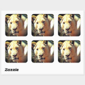 Lion Vierkante Sticker (Vel)