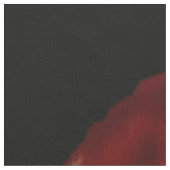 Lion vlamvuur op zwart stof (Close Up)