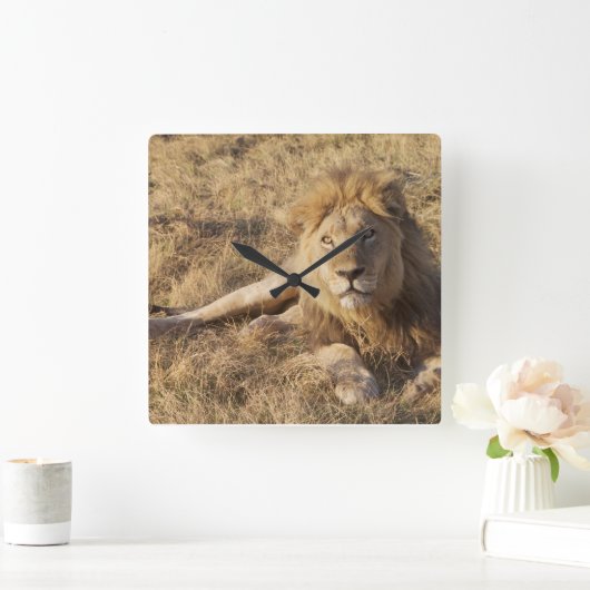Lion Wall klok (Huis)