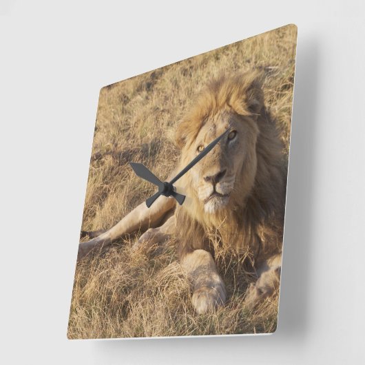 Lion Wall klok (Hoek)