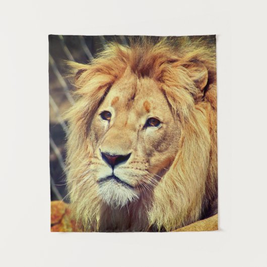 Lion Wandkleed (Voorkant)