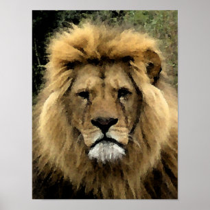 Lion Waterverf Portrait - Canvas Poster