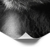 Lion weet wie je bent foto afdruk (Hoek)