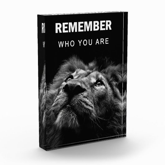 Lion weet wie je bent fotoblokken (Links)