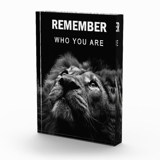 Lion weet wie je bent fotoblokken (Rechts)